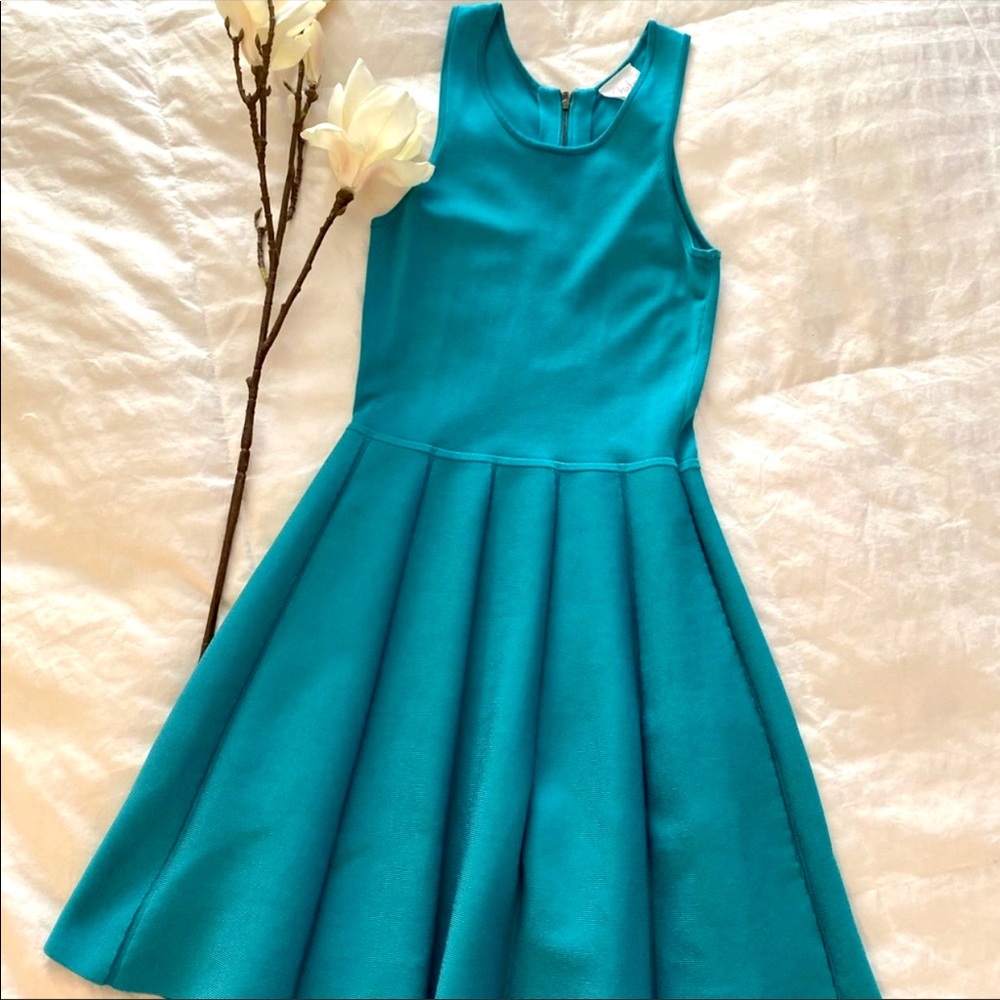 Parker Fit & Flair Dress
